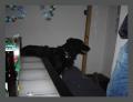 PICT0378