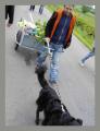 PICT0403