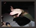 PICT1048