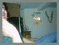IM001299