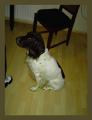 PICT0744