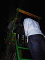 PICT3316