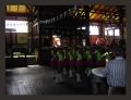 PICT6592